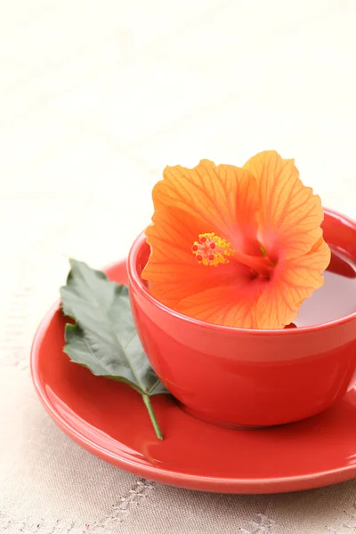 Cup Hibiscus Tea Health Care — Stock Photo, Image