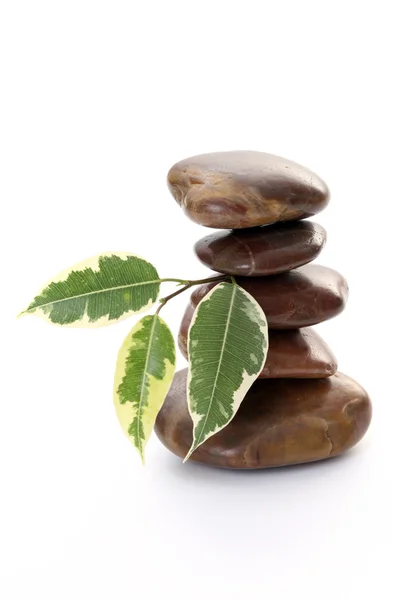 Stack Pebbles Leaves Isolated White Wellbeing — Stock Photo, Image