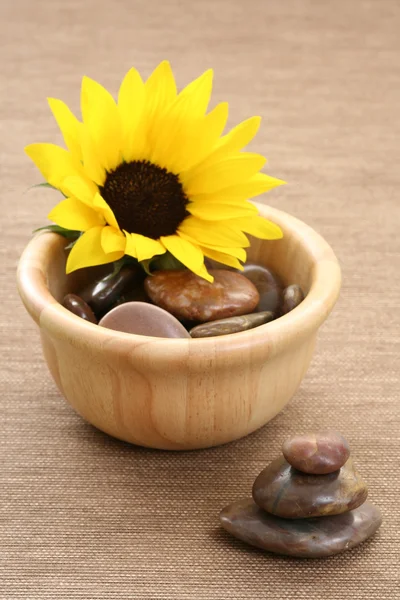 Beautiful Sunflower Bowl Full Pebbles — Stock Photo, Image