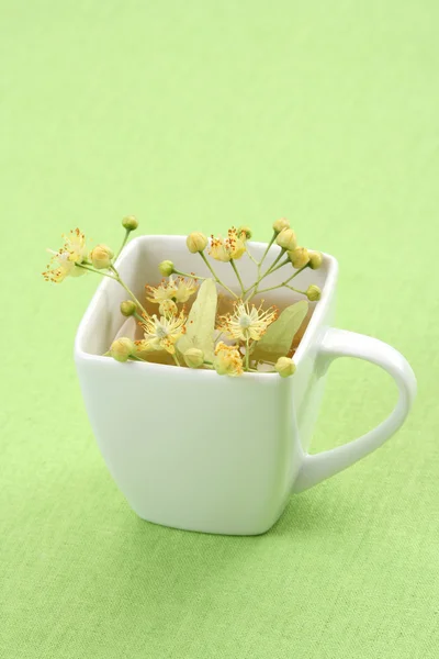 Xícara Chá Flores Tília Verde — Fotografia de Stock