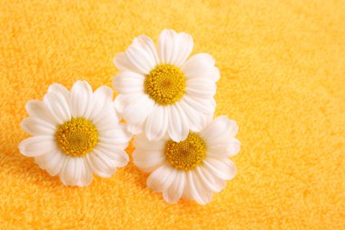 yellow towel and nice marigolds - body care clipart