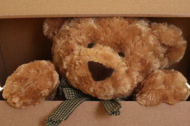 close-ups of cute teddy bear in box clipart