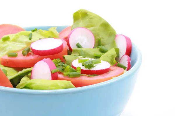 Kék Tál Tele Friss Zöldség Saláta Elszigetelt Fehér — Stock Fotó