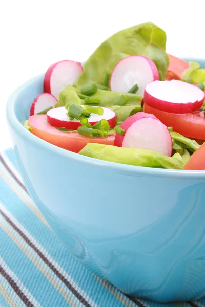 Schüssel Salat — Stockfoto