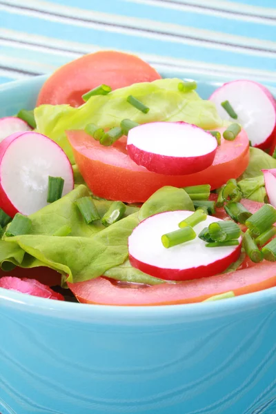 Blaue Schüssel Mit Frischem Gemüse Salat Nahaufnahmen — Stockfoto