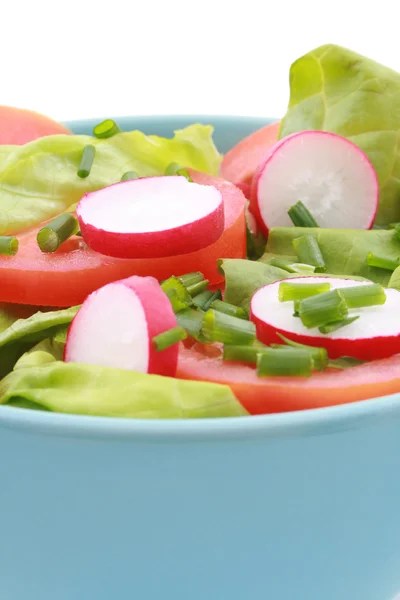 Saláta tál — Stock Fotó