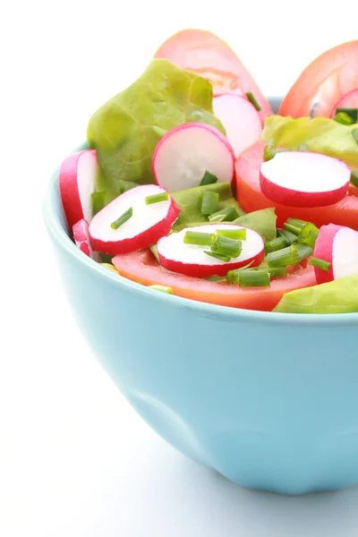 Blue Bowl Full Fresh Vegetables Salad Isolated White — Stock Photo, Image