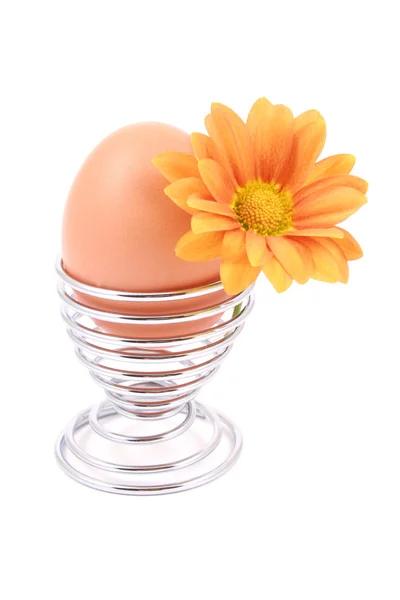 Dekorace Velikonoční Vajíčko Daisy Květem Izolované Bílém — Stock fotografie