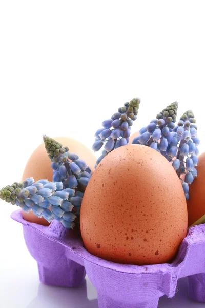 Easter Decoration Eggs Flowers Box Close Ups — Stock Photo, Image