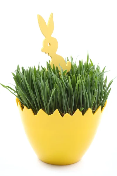 Velikonoční Vajíčko Zelený Oves Bunny Izolovaných Bílém — Stock fotografie