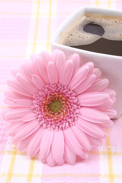 Close Ups Cup Coffee Pink Gerbera Good Morning — Stock Photo, Image