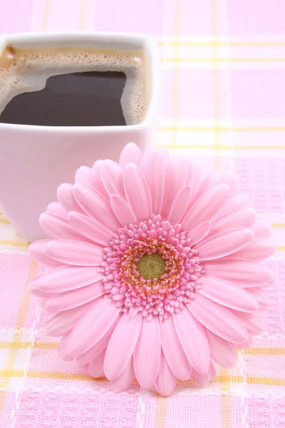 杯咖啡与粉色非洲菊 早上好的特写镜头 — 图库照片