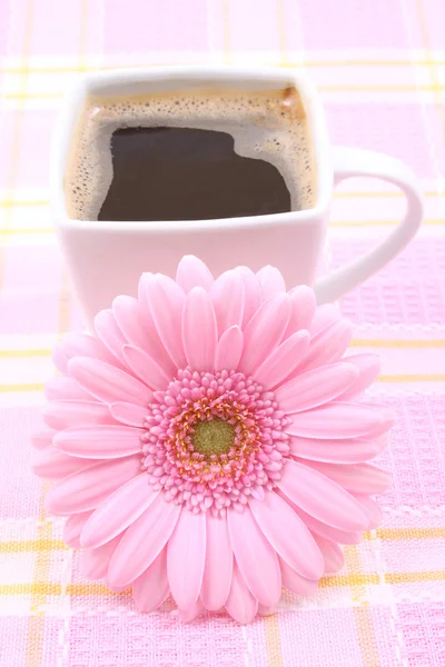 Detailní Záběry Šálek Kávy Růžová Gerbera Dobré Ráno — Stock fotografie