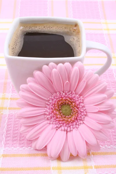Csésze Kávé Pink Gerbera Reggelt Közelképek — Stock Fotó