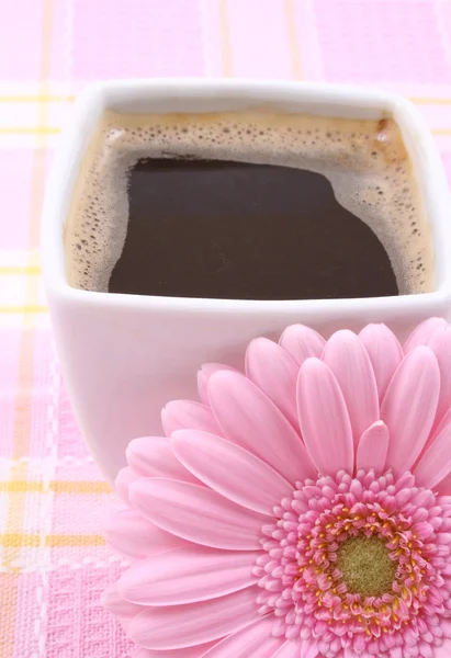 杯咖啡与粉色非洲菊 早上好的特写镜头 — 图库照片