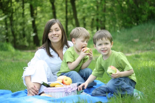 Matka Synové Relaxační Rodinný Piknik Lese — Stock fotografie