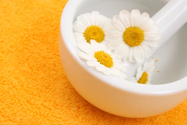 stock image camomile and mortar and pestle - beauty or health treatment