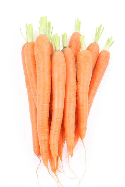 Νωπά καρότα — Φωτογραφία Αρχείου