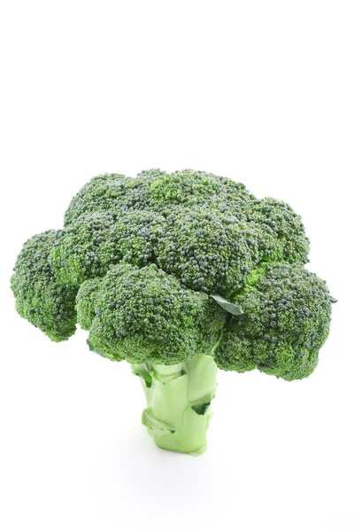 Verse Groene Broccoli Geïsoleerd Wit — Stockfoto