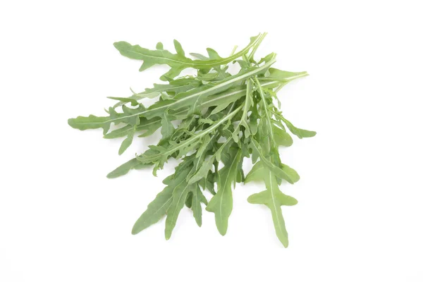Lettuce - rucola — Stock Photo, Image