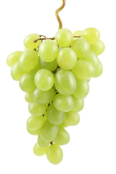 Букет Свіжого Зеленого Винограду Ізольований Білому — стокове фото