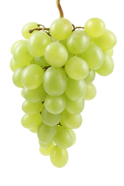Букет Свіжого Зеленого Винограду Ізольований Білому — стокове фото