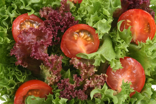 特写镜头新鲜生菜和西红柿 健康饮食 — 图库照片