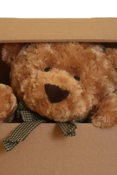 Close Ups Cute Teddy Bear Box — Stock Photo, Image