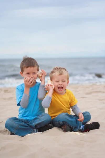 Δύο Αγόρια Κοχύλια Στην Παραλία Καλοκαίρι — Φωτογραφία Αρχείου