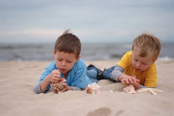 Zwei Jungen Mit Muscheln Strand Sommer — Stockfoto