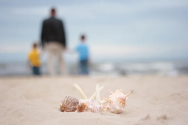 Dva Chlapci Otec Pláži Léto — Stock fotografie