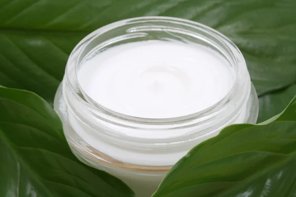 stock image jar of luxury face cream in green leaves - beauty treatment