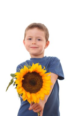 Sunflower for you clipart