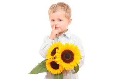 adorable 3-4 years old boy with sunflowers isolated on white clipart