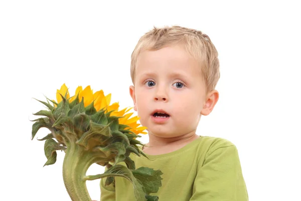 Entzückende Jahre Alte Junge Mit Sonnenblume Isoliert Auf Weiß — Stockfoto