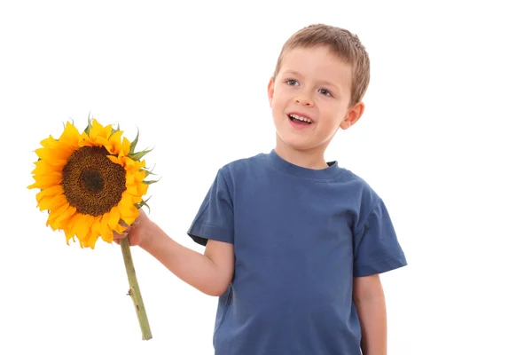 Sonnenblume für Sie — Stockfoto