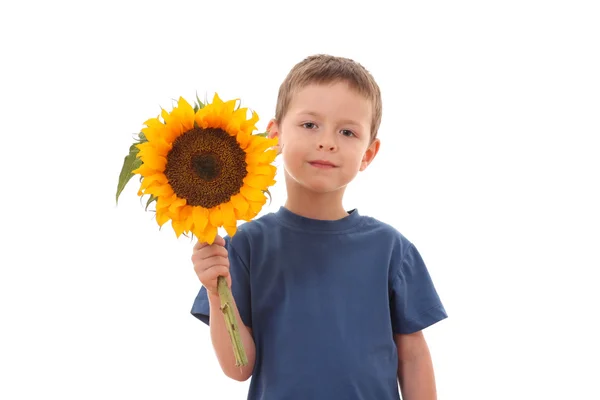 Αξιολάτρευτο Χρονών Αγόρι Ηλιοτρόπιο Που Απομονώνονται Λευκό — Φωτογραφία Αρχείου