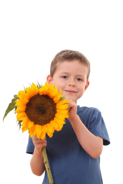 Adorable Years Old Boy Sunflower Isolated White — Stock Photo, Image