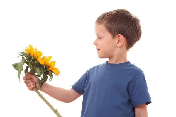 Entzückender Jähriger Junge Mit Sonnenblume Isoliert Auf Weiß — Stockfoto