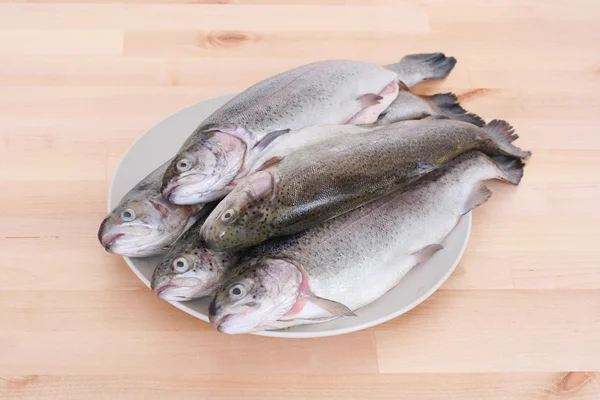 Plate Full Rainbow Trouts Table — Stock Photo, Image
