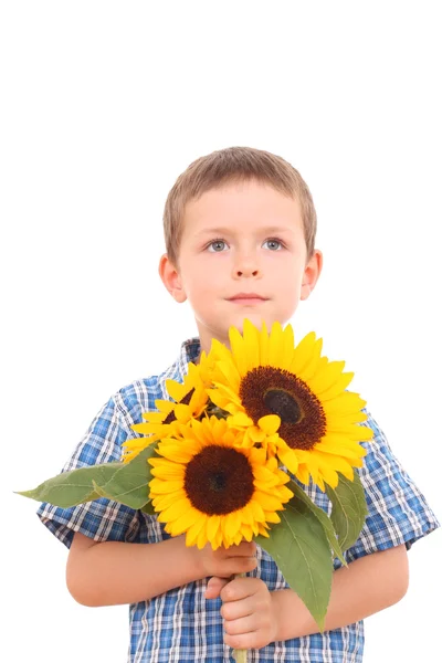 岁男孩用白色上孤立的向日葵 — 图库照片