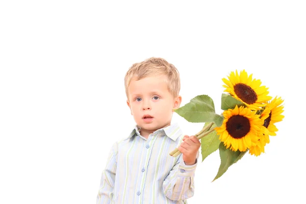 Sonnenblumen für Sie — Stockfoto