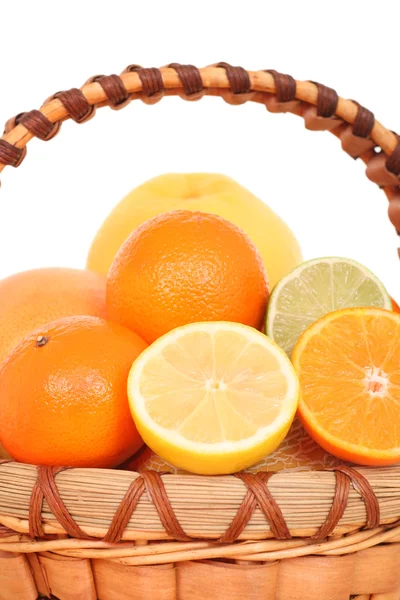 Citrusfrukter — Stockfoto