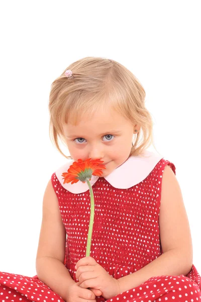 花と 4 歳の少女の肖像画 — ストック写真