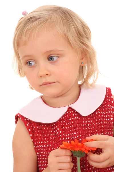 Портрет 4-річної дівчини з квіткою — стокове фото