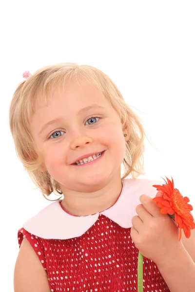 Porträtt av 4 år gammal flicka med blomma — Stockfoto