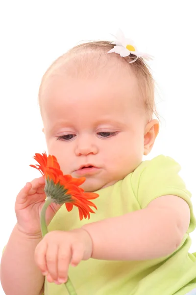 Monate Baby Mädchen Mit Gerbera Blume Isoliert Auf Weiß — Stockfoto