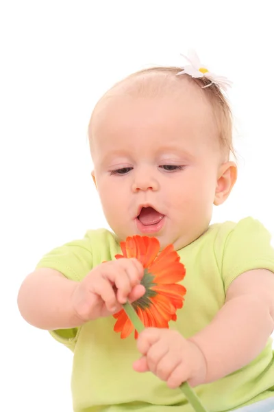 Månader Baby Flicka Med Gerbera Blomma Isolerad Vit — Stockfoto