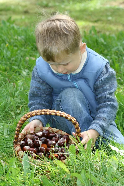 Herbstzeit Jähriger Junge Mit Kastanienkorb — Stockfoto