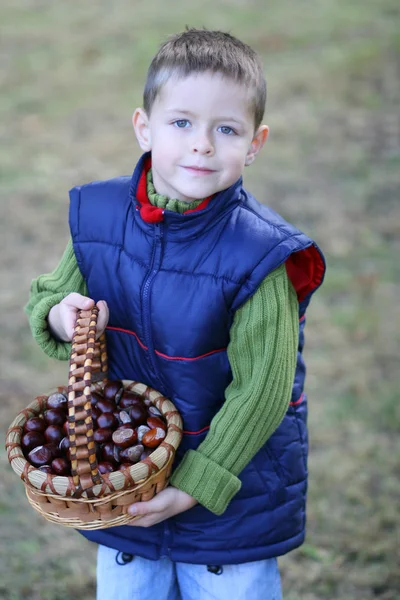 秋季时间 岁男孩用篮子里的栗子 — 图库照片